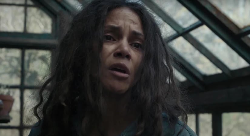 Halle Berry állítólag bántalmazta a fiát és az exférjét korábban, ezért most távoltartási végzést kértek ellene, amit meg is ítéltek