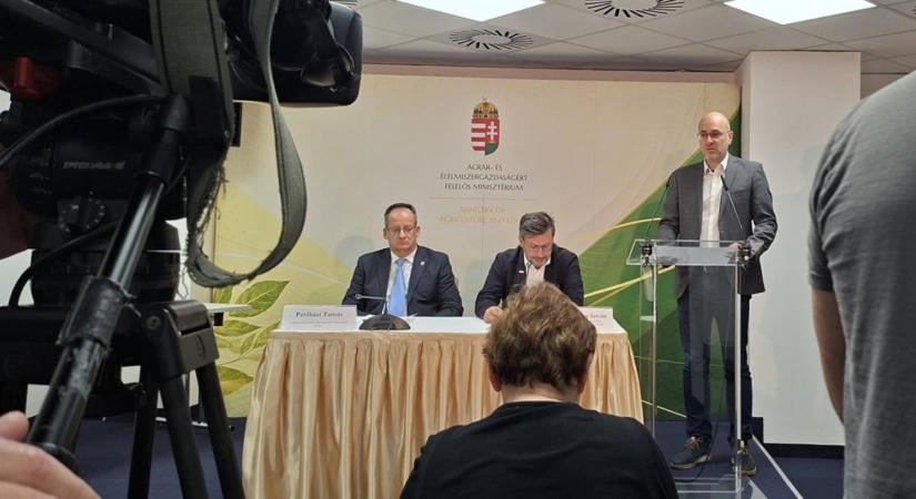 Valóban 1,5 millió tonna az ország kukoricatermése, hatalmas az importigény