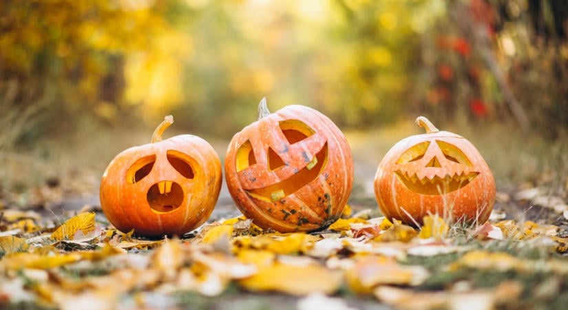 Koncertek, kiállítások és Halloween-programok várják az érdeklődőket Debrecenben október 19. és 25. között