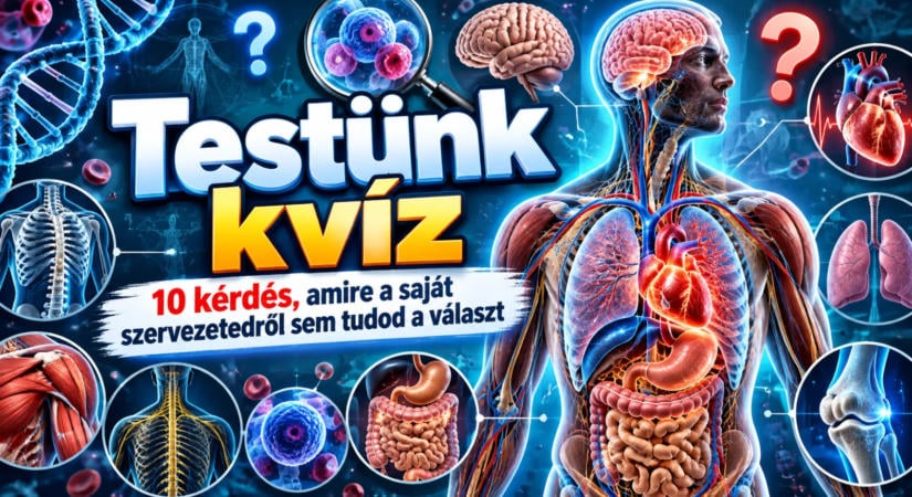 Testünk kvíz: 10 kérdés, amire a saját szervezetedről sem tudod a választ