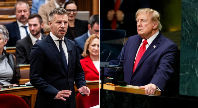 Faltörő kosok a politikában, avagy Donald Trump félideje és Magyar Péter első száz napja
