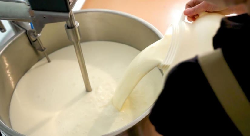 Meglepő számok érkeztek a magyar tejpiacról: erre kevesen számítottak