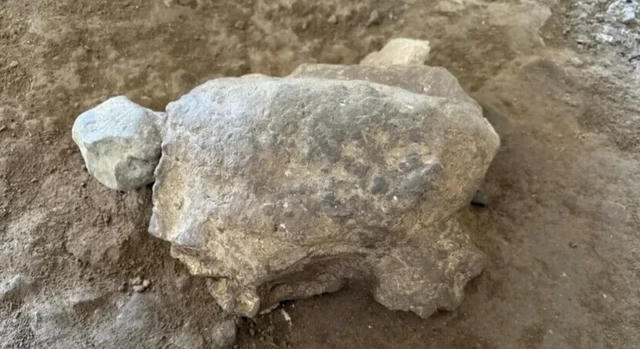 Faragott teknősöknek hódoltak egy őskori barlangban