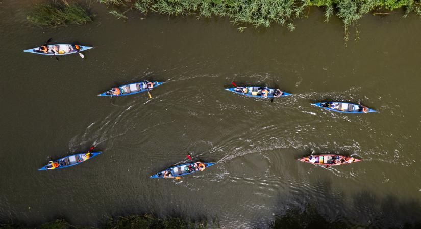 Megvan, mi tizedeli az óriáskagylókat a Tisza-tónál