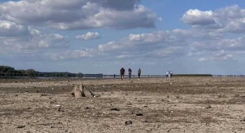 Sosem láttad még így a Tisza-tavat: egészen elképesztő, miket rejt a kiszáradt meder