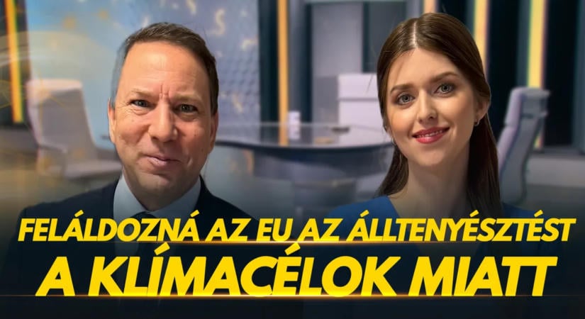 Feláldozná az EU az állattenyésztést a klímacélok miatt