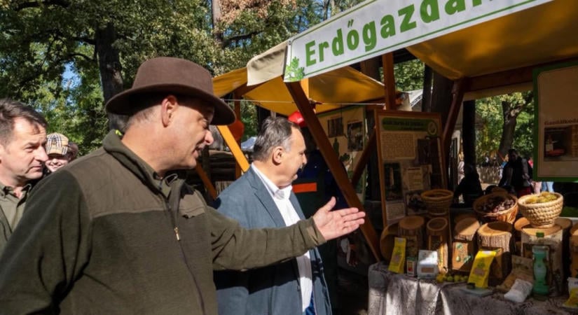 Gajdos László: leállítják a fakitermelést a legértékesebb öregerdőkben