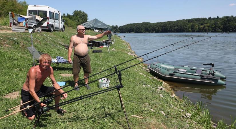 Közel egy tonna ponty 48 óra alatt: a hőség sem fog ki a Deseda Carp Cup mezőnyén – videó