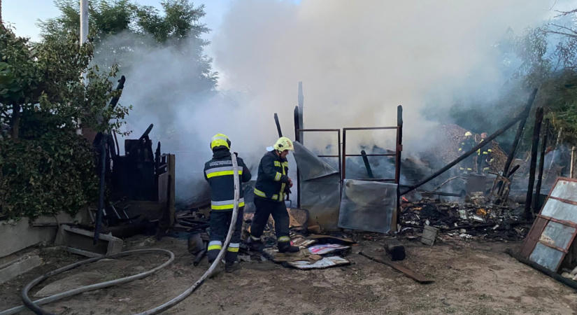 Egy kutya is elpusztult a fülöpi tűzben