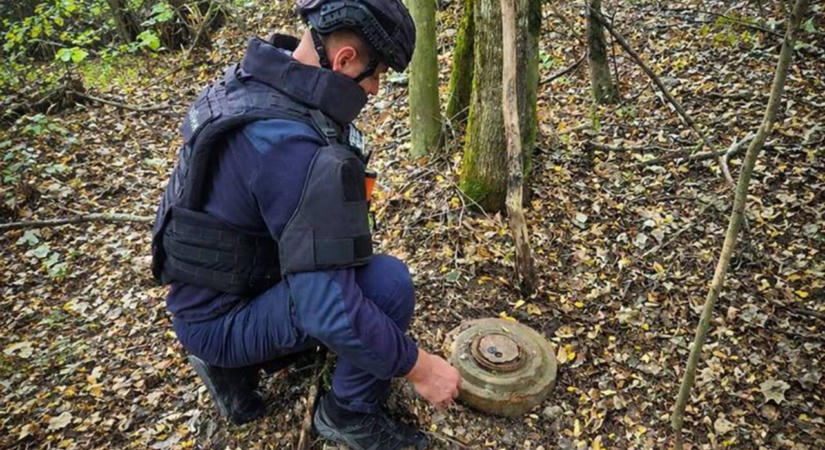 Második világháborús harckocsiaknát talált egy gombász a guti erdőben