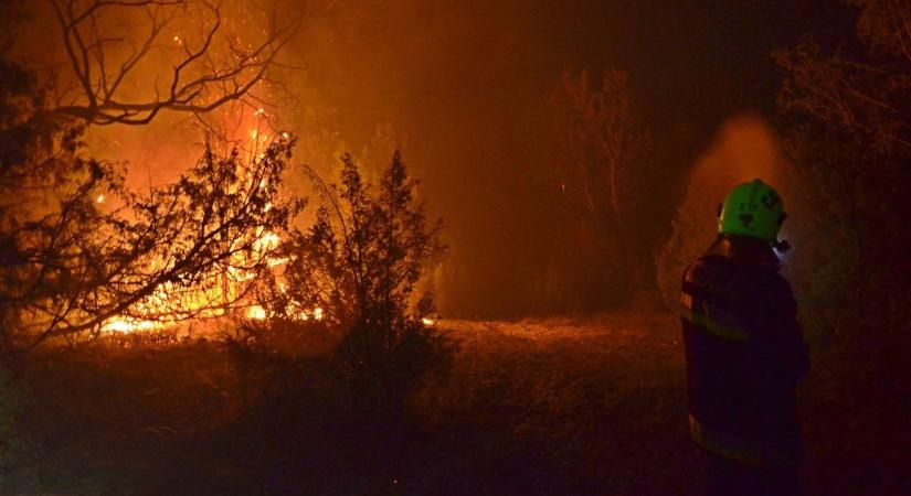 Még mindig küzdenek a bugaci erdőtűzzel: ugyanaz a sérülékeny táj ég, ahol 2012-ben az ősborókás nagy része odaveszett  fotók, videó