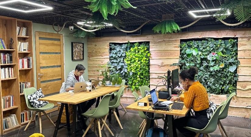 Zöld munkakörnyezet Budapest szívében – Eco-Office a fenntartható vállalkozás