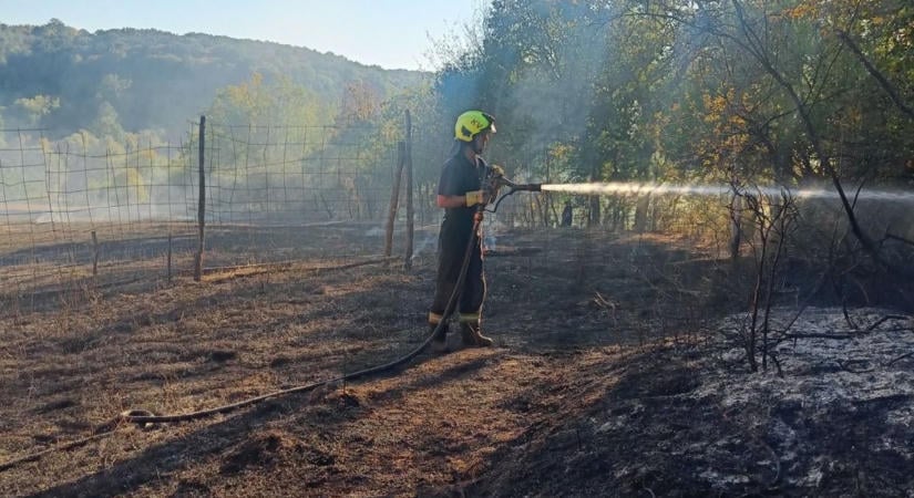 Szabadtéri tűzhöz vonultak a tűzoltók