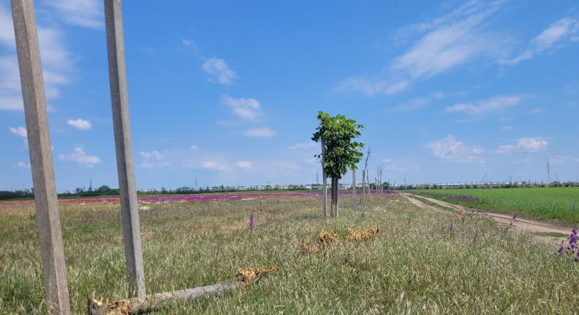 A fürdőszoba csupa por, az udvart locsolni kell, és állandó a zaj