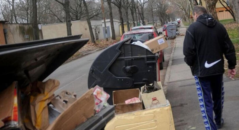 Kukázók lepik el Kertvárost: hajnalban kezdődik a zörgés, este jönnek a varjak