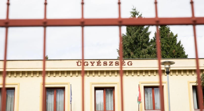 Kamu hirdetésekkel verték át a vevőket, majd megfelezték a pénzt
