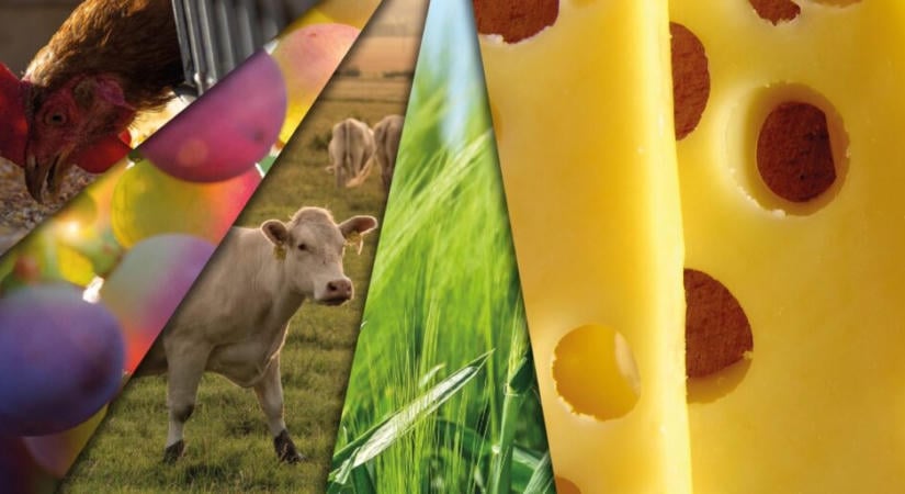 Kulcsfontosságú piaci folyamatok és árváltozások a hazai agráriumban