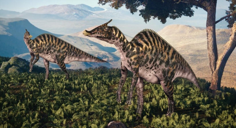 Mi pusztíthatta el pontosan a dinoszauruszokat