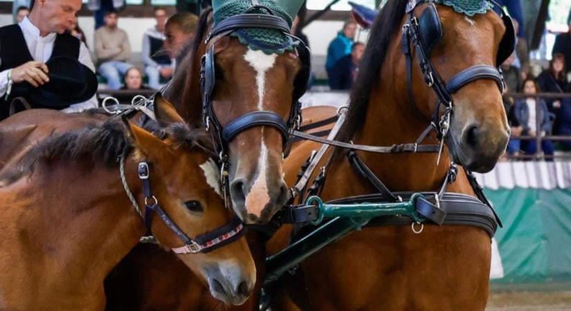 KÁN Egyetemi Napok 2026 – Élő hagyományok és modern megoldások találkozása