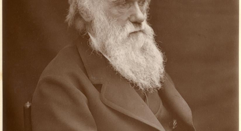 Darwin láthatatlan szerkesztője a saját lánya volt: nélküle másként olvasnánk a műveit