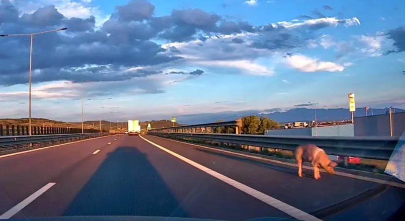 Kifogyott az illetékesek tolla, annyi bírságot kellett kiróni egy tengerparti szállodára az ocsmány konyhája miatt – hírmix