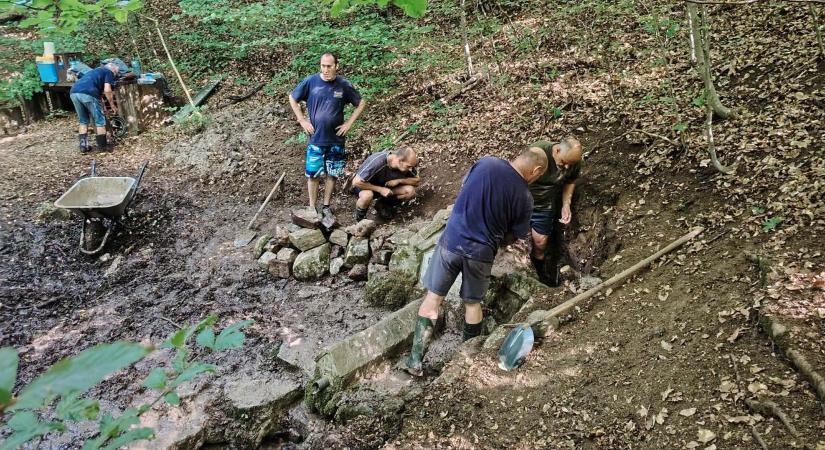 Vizet fakasztottak a Mecsekben, életet leheltek a Betyár-forrásba