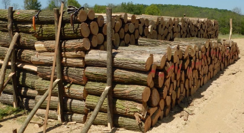 Ezek a tűzifa vásárlás buktatói - a csalókkal szemben nem elég résen lenni, matekozni is tudni kell!
