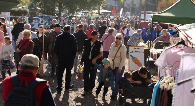 Kerékért ment, végül a sajátját is eladta – különös üzletek a kisteleki vásárban  fotók, videó