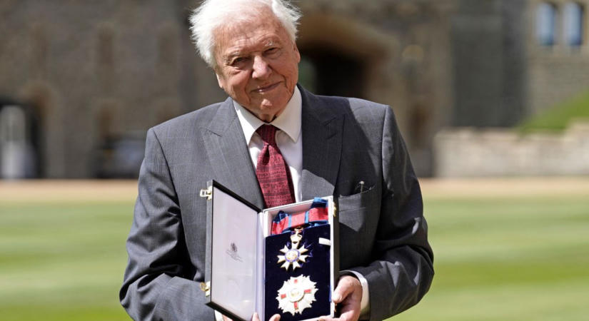 David Attenborough mindenkit arra kér, hogy ezt az egy dolgot azonnal hagyja abba