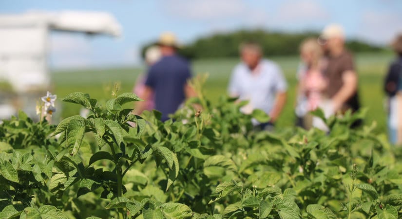 Sorsdöntő bejelentés érkezett az EU-ból: így változik meg az agrárium jövője