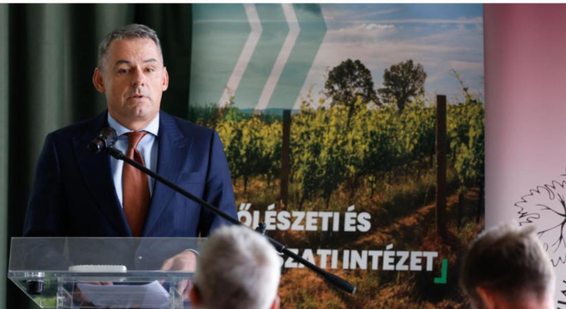 A VII. Országos Szőlész-Borász Konferencia fókuszában a szárazság, stratégia és mesterséges intelligencia állnak majd