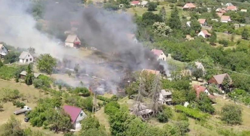 Hiába a tilalom, valaki majdnem felgyújtotta a Mecsek-oldalt, a tűzoltóknak kellett beavatkozni