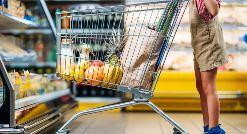 Lényegesen drágább volt tavaly ilyenkor a bevásárlás a Lidl, a Penny és az Aldi boltjaiban