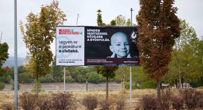 12 fontos ügy közel 500 óriásplakáton