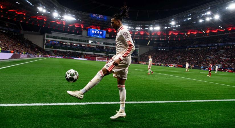 Michael Olise-transzfer: itt a Bayern München válasza a Real Madridnak