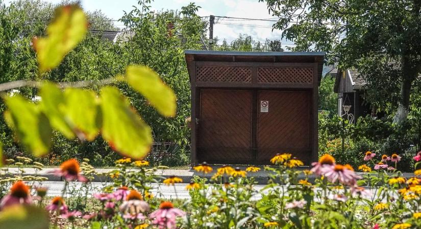Képviselői ötletből és közösségi összefogásból születtek Balatonalmádi ikonikus buszmegállói fotók