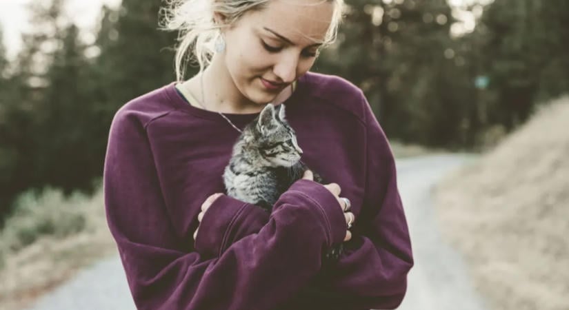 9 jel, hogy a macskád a legjobb barátjának tart, egy állatorvos szerint