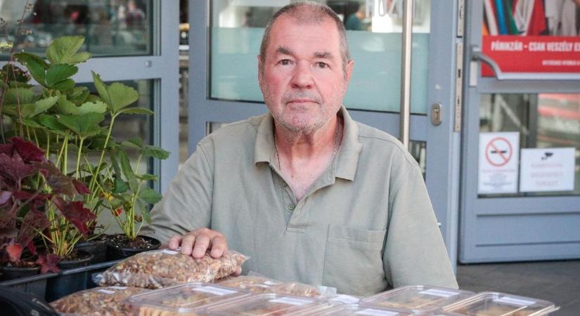 Hivatásos katona volt, ma a kertészet és házi finomságok mestere a piacon