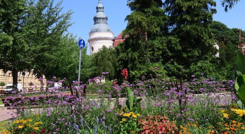 Többször is a legjobbak között végzett Szentes, most újra bizonyíthat