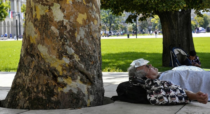 Hőségriadó: erre figyelmeztet az országos tisztifőorvos, akár életet is menthet