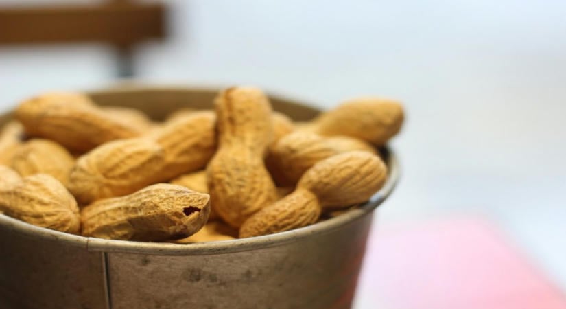 Gluténmentes, fehérjedús és sokoldalú: ezért érdemes mogyorólisztet használni