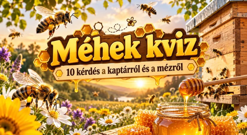 Méhek kvíz: 10 kérdés a kaptárról és a mézről