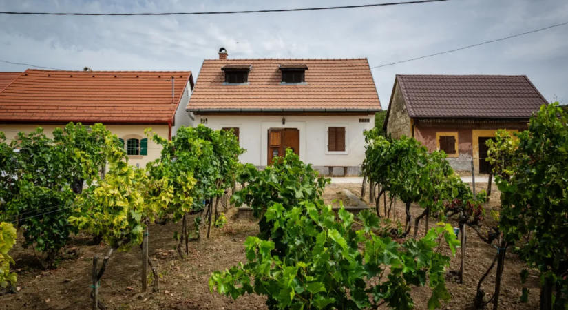 Biatorbágy hadat üzenne az illegális beköltözésnek, hatalmas felháborodás lett belőle