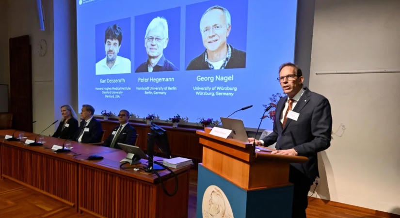 Megtalálták az idegsejtek kapcsolóját, Nobel-díjat kaptak érte
