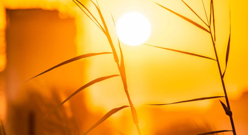 Kánikula: 39 Celsius-fokos hőség is lehet kedden
