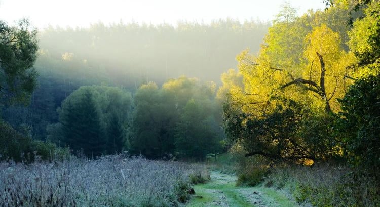 Fagyott hajnalban? Már nagyon közel járt a nulla