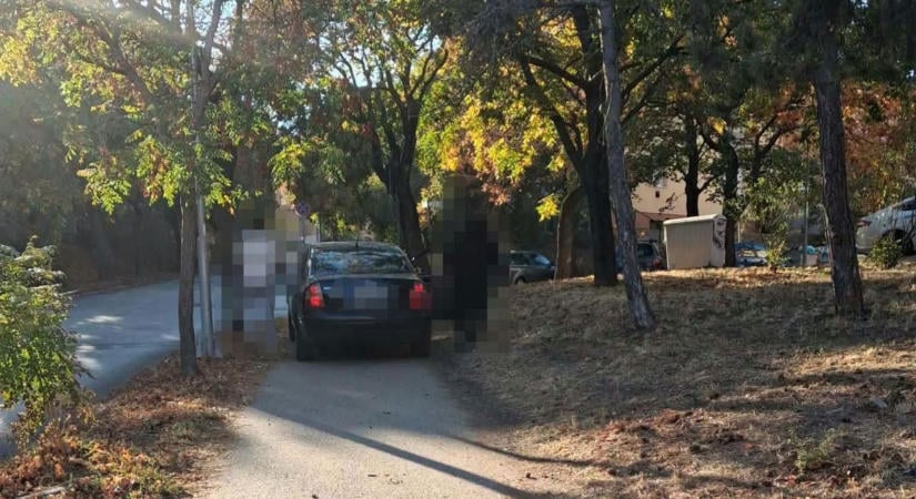 Autóval tarolta le a padot Várpalotán – eljárás indult a 17 éves sofőr ellen
