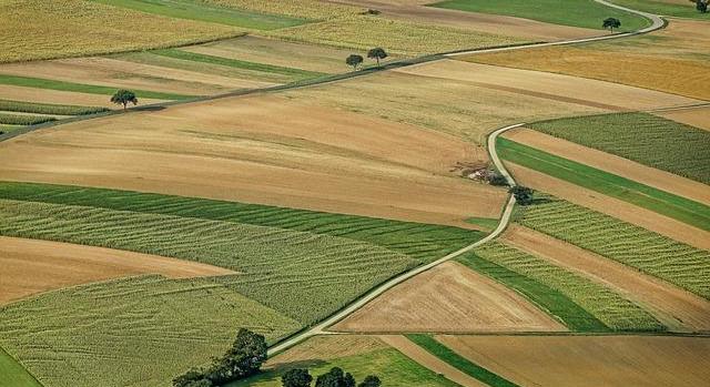 MAGOSZ: közvetlen kormányzati függésbe kerülhet az agrárkamara