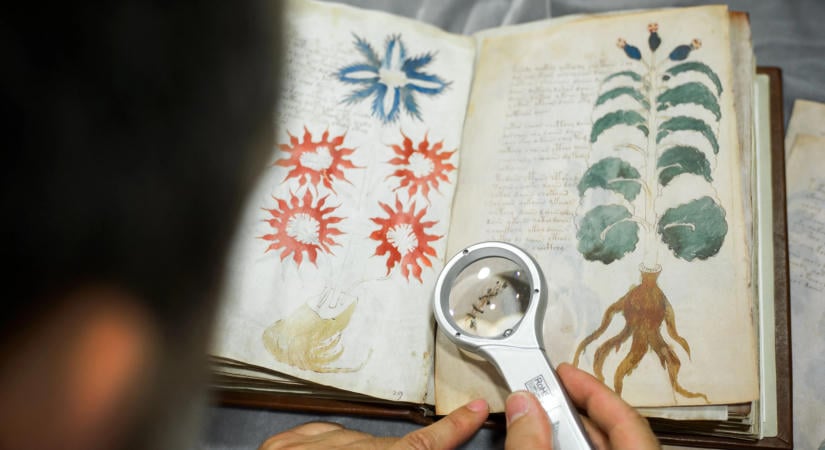 Újabb fordulat a Voynich-kézirat rejtélyében