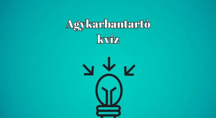 A kvízműhelyből jött - Ebben a kvízben, egy kis koncentrációval sok pontot gyűjthetsz